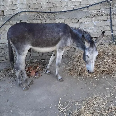 Poggio Della Roverella Appartamento