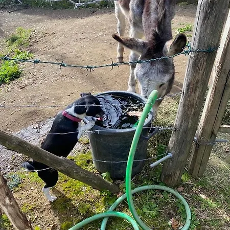 Appartamento Poggio Della Roverella *