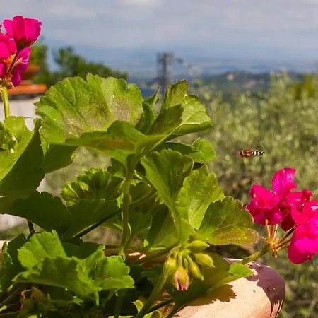 Poggio Della Roverella Appartamento *